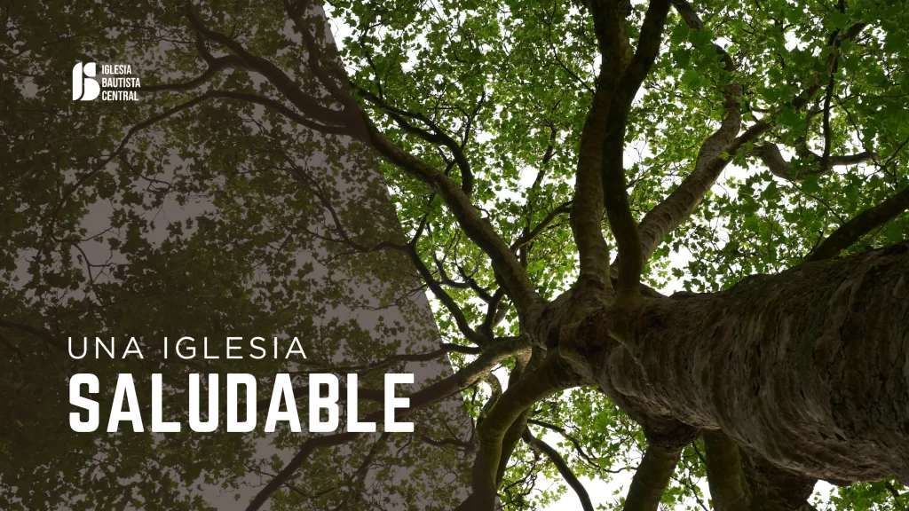 Una-iglesia-saludable