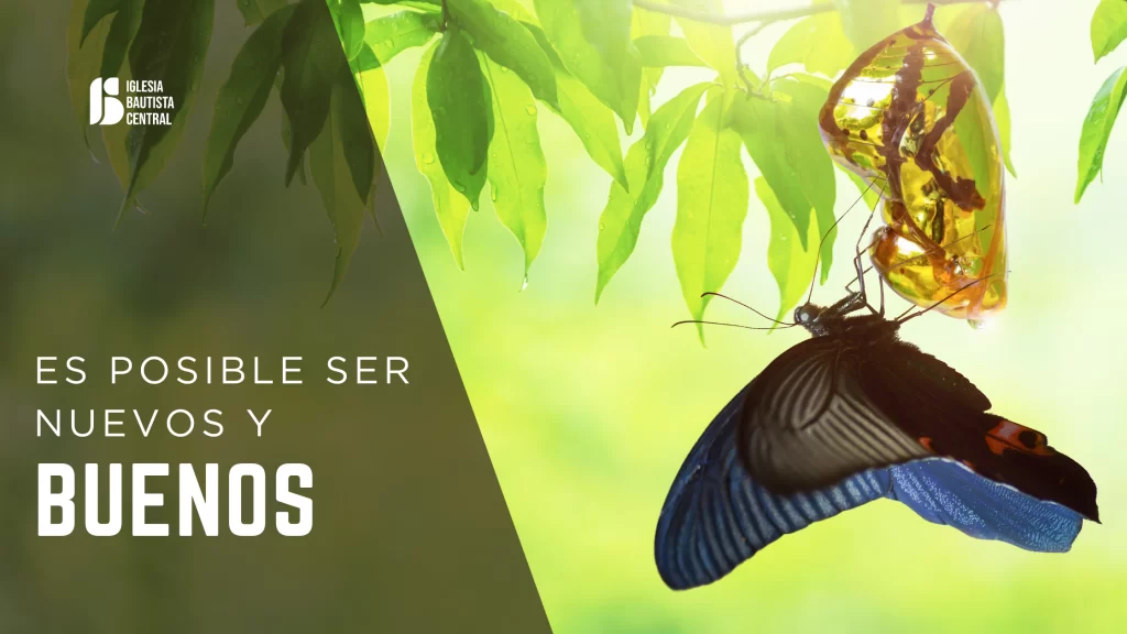 es-posible-ser-nuevos-y-buenos